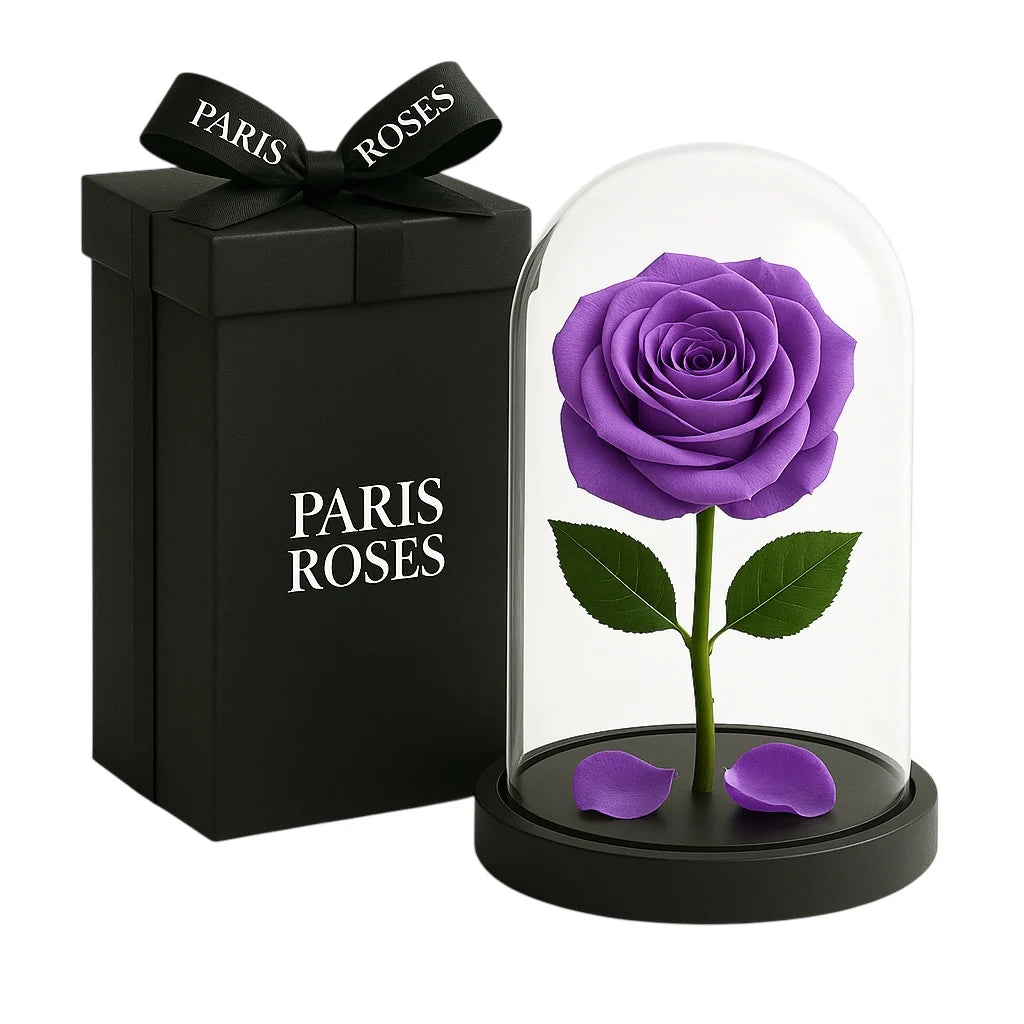 ROSES ETERNELLE SOUS CLOCHE